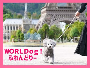 WORLDog！ふれんどりー