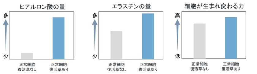 「復活草」「茉莉花」「時計草」に
夜間に高まる肌の回復を促す効果を発見