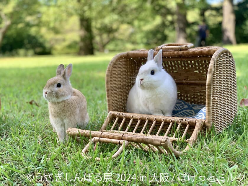 動員数25万人超え！「うさぎしんぼる展」が5/11(土)から
1年ぶりに開催、1日10組限定＆数量限定のSNS投稿特典も♪