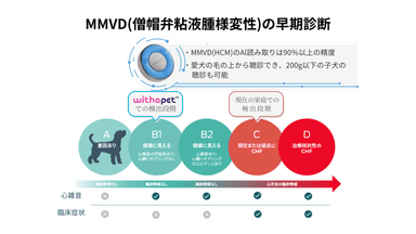 MMVD(僧帽弁粘液腫様変性)ステージ