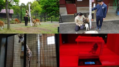 ZOOMO 動物たちの身体測定2024