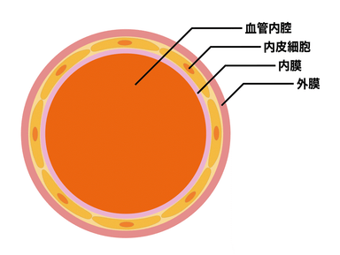 重炭酸イオン浴とは