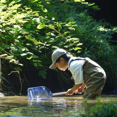 飛鳥いきもの調査隊「水辺トラップ」