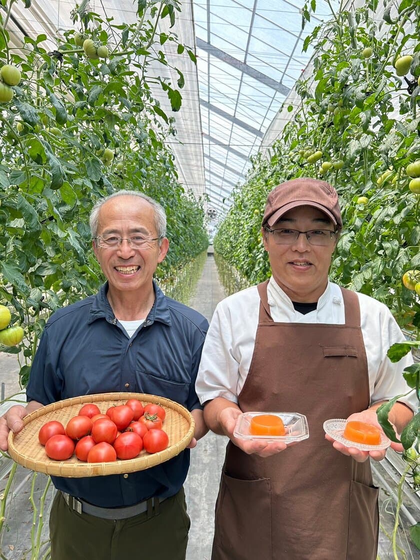 老舗和菓子店「菓匠かじわ屋」と海洋深層水で育てた
フルーツトマト農家「ひかりファーム」が地産地消コラボ！
夏の涼味『富山産深層水トマトゼリー』を6月29日に発売