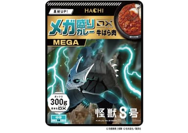 メガ盛りカレー DX 牛ばら肉