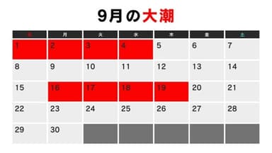 9月の大潮