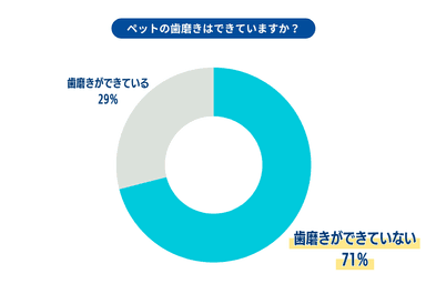 ペットの歯磨き評価