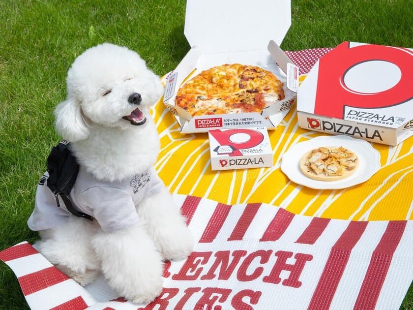 愛犬と一緒に楽しめるコミフデリ×PIZZA-LAのコラボ商品！
取り扱い店舗を全国のピザーラ店舗に拡大し9月9日より販売開始