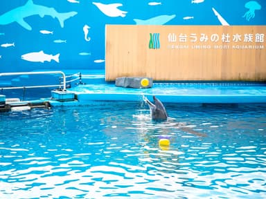 仙台うみの杜水族館(2)