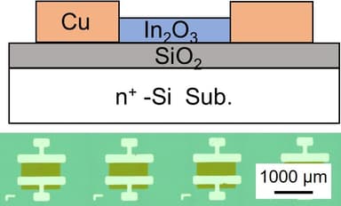 相川慎也教授(工学院大学)が試作した薄膜トランジスタ型ガスセンサーの模式図と顕微鏡像