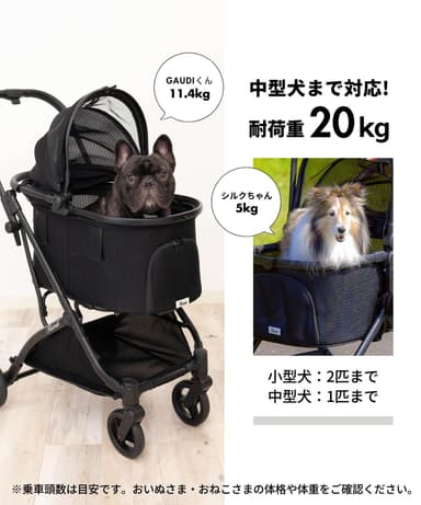 中型犬OK！耐荷重20kg