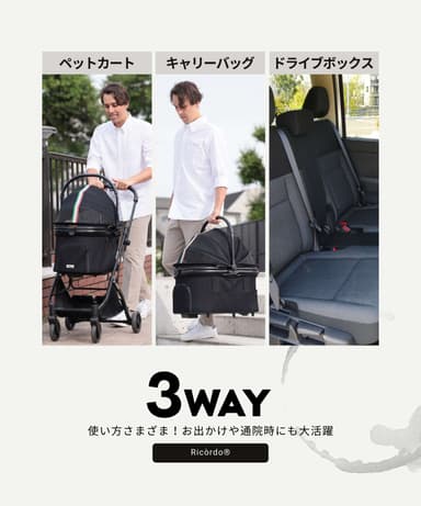 枠に囚われない使い方3WAY