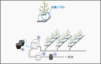 ポット栽培の仕組み