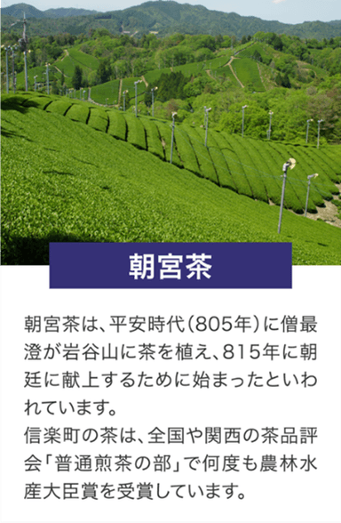 朝宮茶