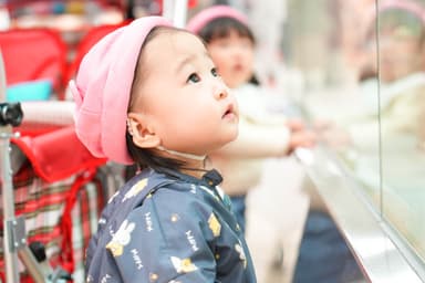 子どもたちの自己肯定感と主体性を育む保育を実践しています