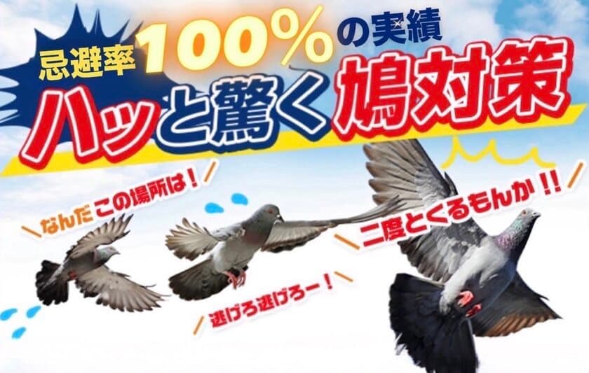 鳩が寄り付かなくなる「ハト用忌避剤PT-1」が10月にリニューアル　
自然由来の成分で、人やペットへの影響が少なく安心して使用可能