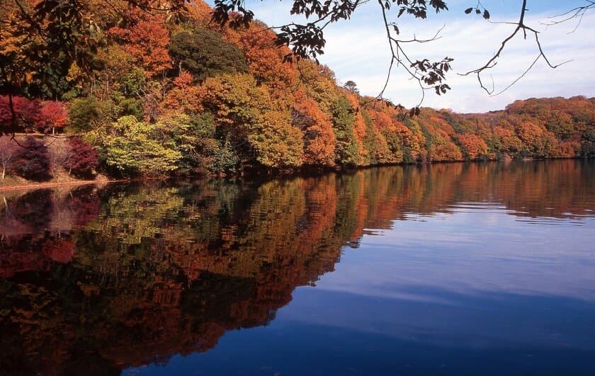 秋の伊東で紅葉を楽しもう　
一碧湖＆丸山公園の紅葉が12月上旬見頃に