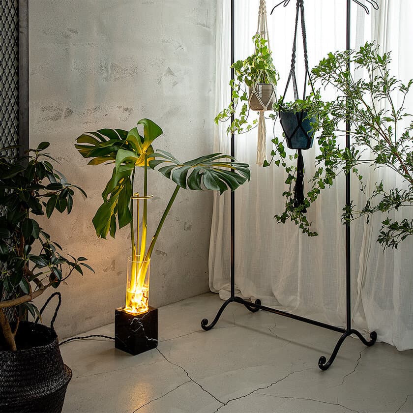 植物と光を組み合わせアートを生み出すフロアランプ
「LUMINASTONE FLOOR LAMP」を11月18日から販売