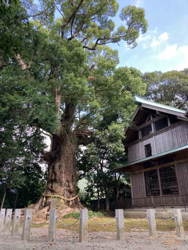 鳥精進酒精進(川津来宮神社)