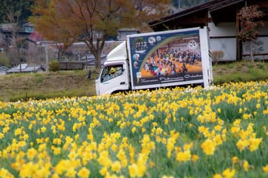 すいせんが咲き誇る信州国際音楽村