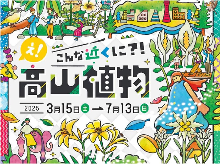 【六甲高山植物園】新イベント開催決定！
憧れの高嶺の花々に出会える
「え！こんな近くに？！高山植物」展