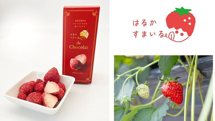 もったいないを美味しく解決！規格外いちごを使用した
「はるかすまいる de Chocolat」を
2025年１月17日(金)販売開始
