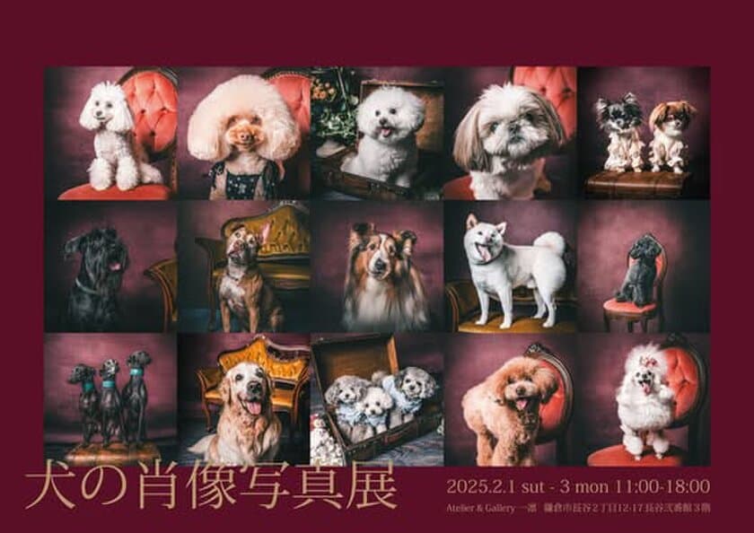 愛犬の写真をアートへと昇華　
かけがえのない瞬間を収めた「犬の肖像美術写真展」と
フォトグラファー・小林能伊氏の「アーティストトーク」を
鎌倉・長谷【Atelier & Gallery一凛】にて2月に開催