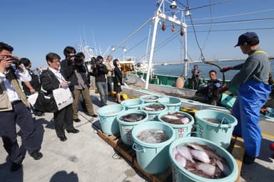 松川浦漁港で水揚げの様子を取材する報道関係者