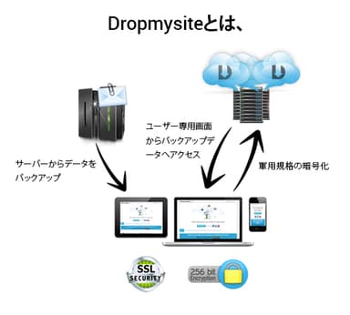 Dropmysiteとは