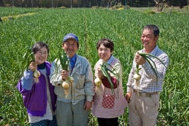 長崎県　吾妻旬菜