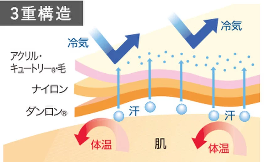 3重構造図