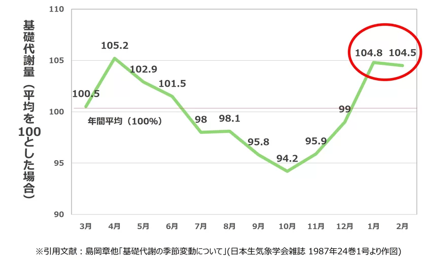 基礎代謝量(年間)