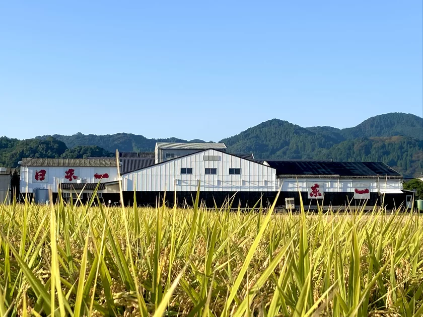 ＜五町田酒造＞